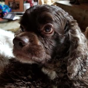 Meet your Posher, Vera